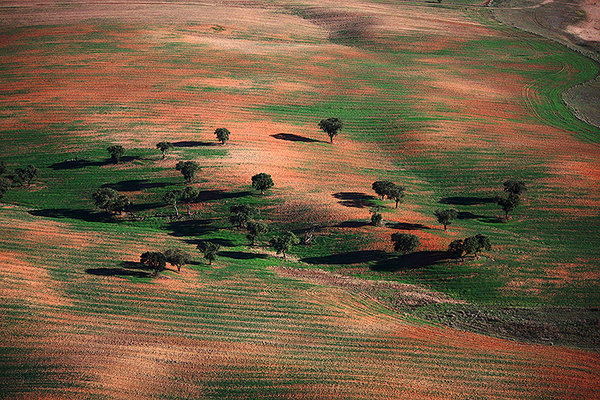 Herdade da Daroeira\\n\\n14/05/2014 08:26